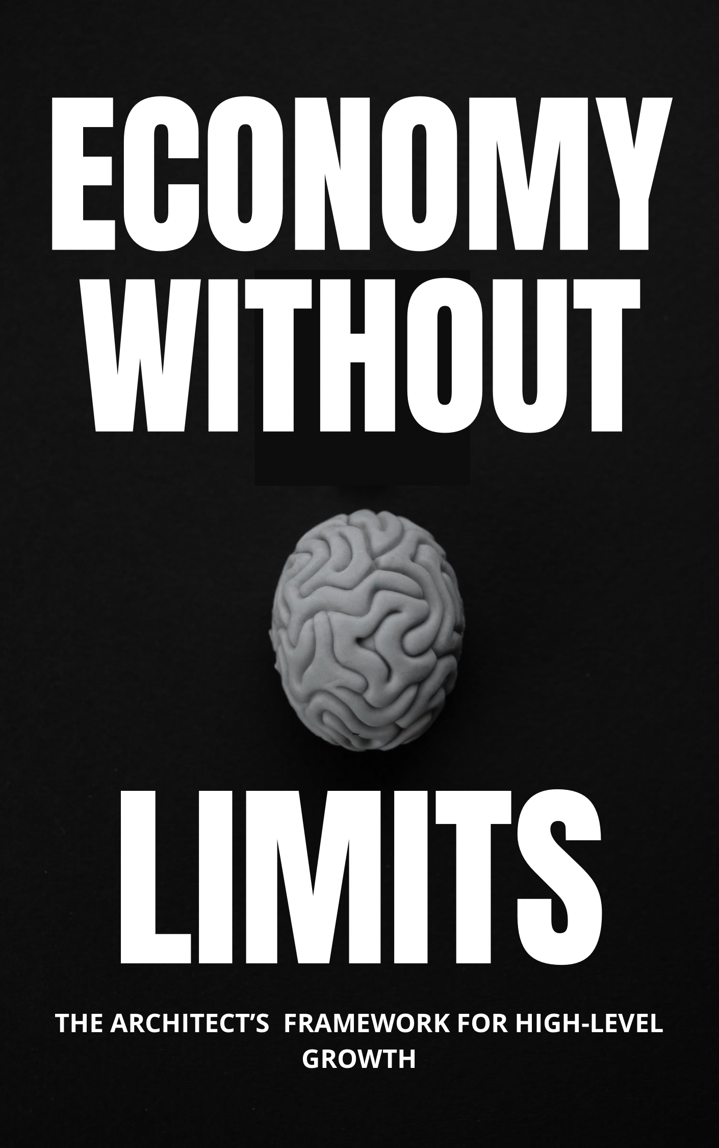 Economy Without Limits